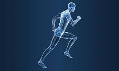 Running analysis: how you run (and walk) matter. A lot. - Park Sports  Physical Therapy - Brooklyn, NY